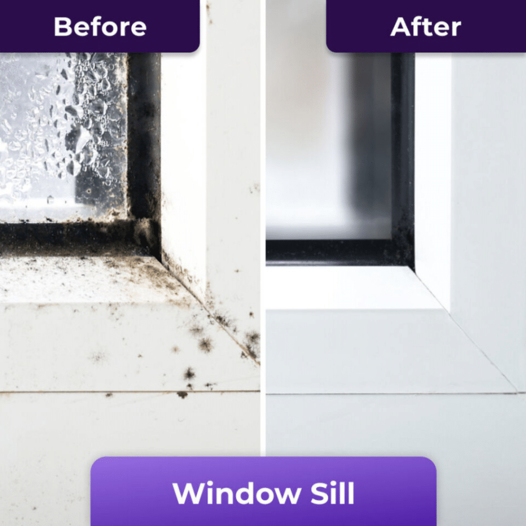 Nuroclean (Official Retailer) [year]