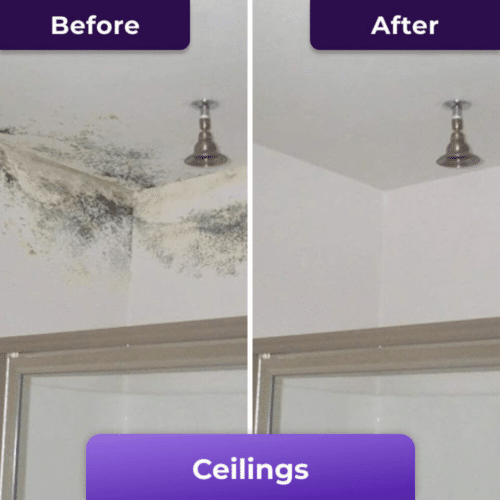 Nuroclean (Official Retailer) [year]